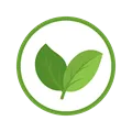 Benefit Energy Efficient Building An image comprised of a pair of leaves inside a circle, all colored in different shades of green and signifying the benefit of the building being energy efficient